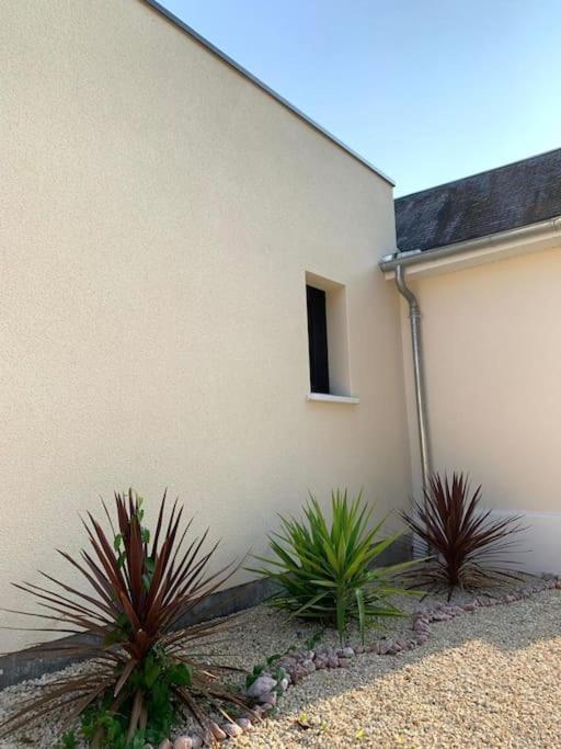 Villa Chic 3 Chambres ,2 Sdb Châtellerault المظهر الخارجي الصورة